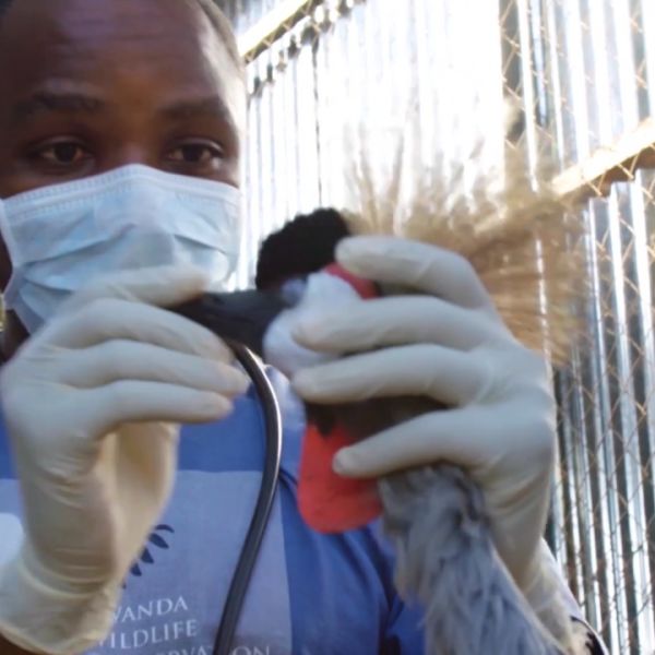 Explorers at Work Oliver Nsengimana